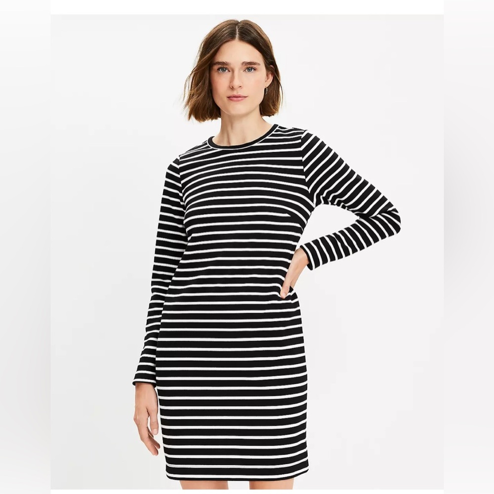 LOFT Knit Dress NWT